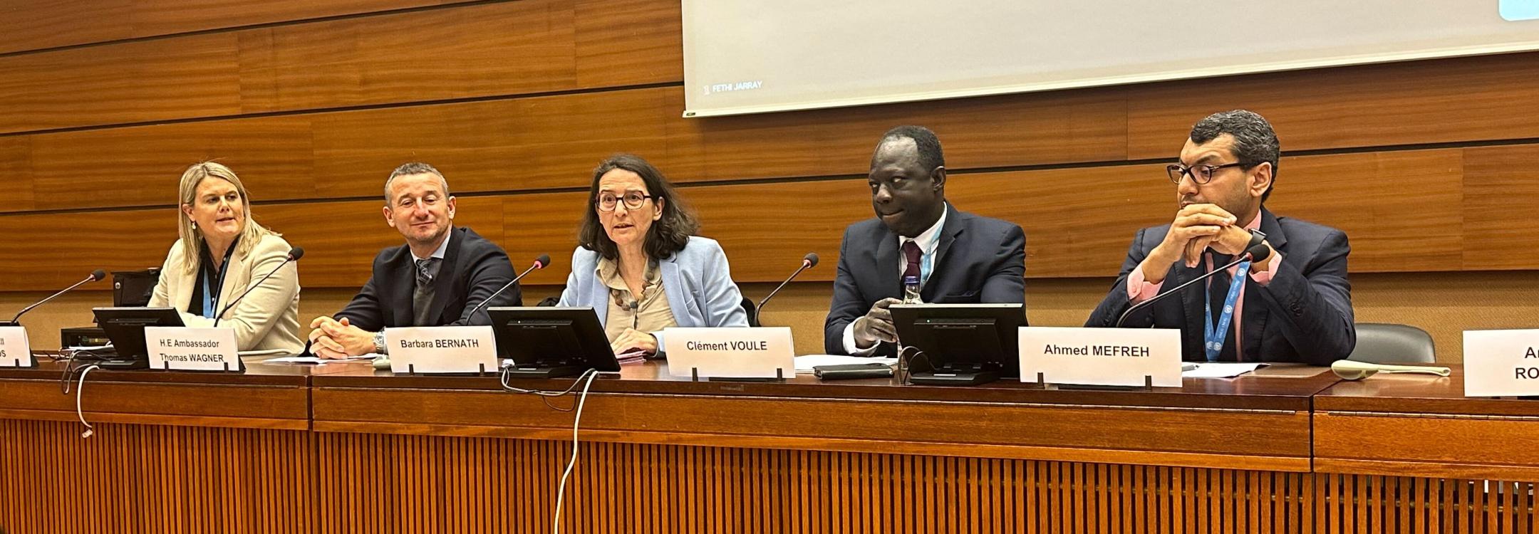 Panelists speak at the side event