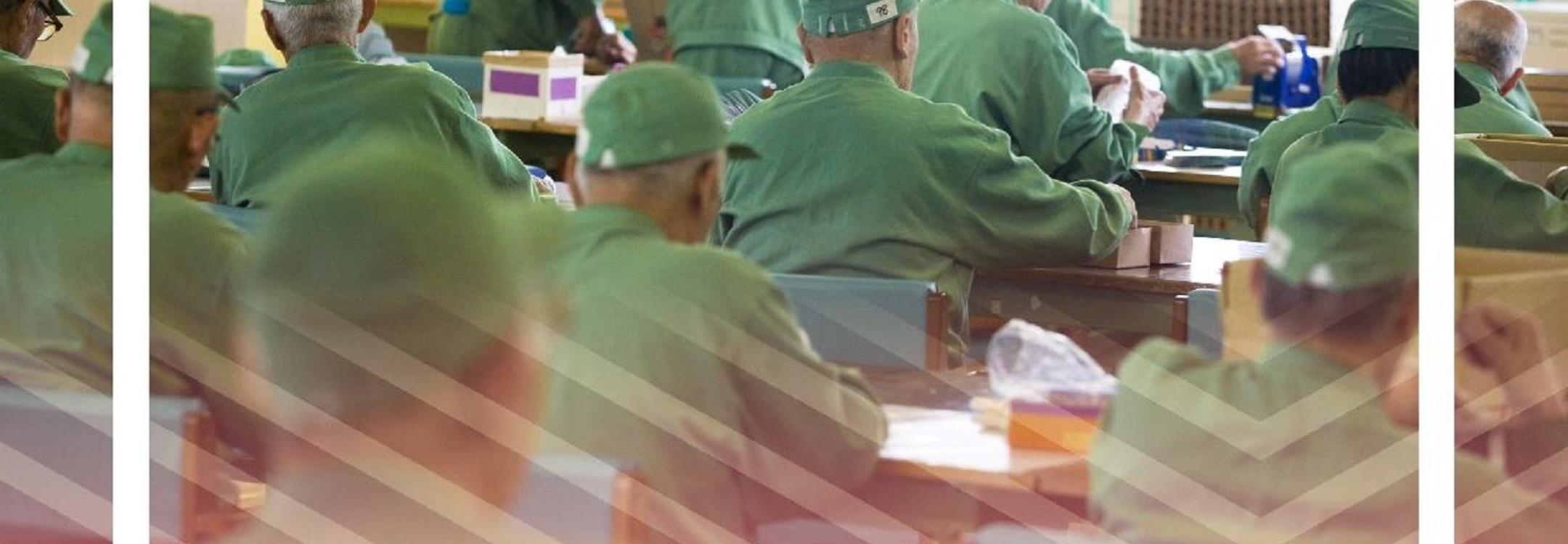PRI_DMT Older prisoners V1_Cover-cropped.jpg PRI_DMT Older prisoners V1_Cover-cropped.jpg